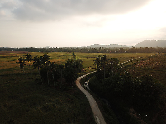 포토 JPG 해외이미지 식물 아시아 문화 음식 패턴 농업 자연 밥 안테나 파노라마 동양인 사람없음 야외 초록색 농작물 농장 농경지 환경 수확 성장 시골 신선 정상 유기농 장면 말레이시아 내추럴 논밭 밭일 조감도 세련 해외포토 웰빙 나라 산업 컬러 무늬 밭 통신 논 촬영기법 인종 생태계 파일형식 이미지허브