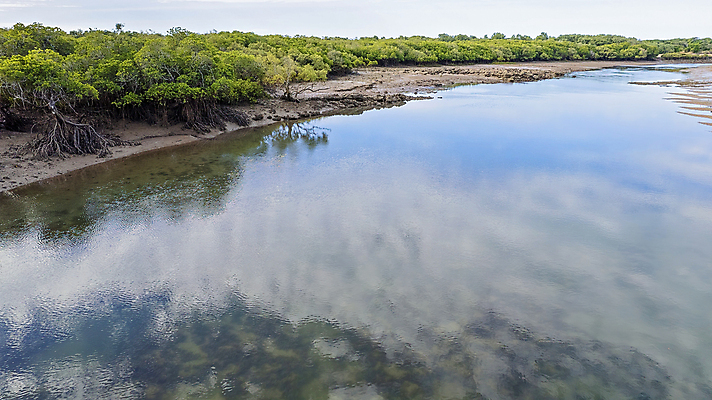 포토 JPG 해외이미지 나무 구름 모래 바다 여행 자연 조류 하늘 휴가 산 거리 안테나 풍경 사람없음 야외 초록색 물 여름 파란색 모래사장 반사 환경 개울 호주 숲 땅 모래언덕 은행 생태계 진흙 소금물 해일 수평선 해외포토 자연요소 식물 동물 계절 컬러 통신 금융 강 오세아니아 자연재해 언덕 파일형식 이미지허브