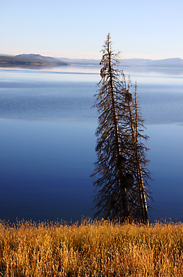 포토 JPG 해외이미지 호수 여행 자연 하늘 산 파노라마 풍경 경사 사람없음 야외 초록색 여름 파란색 강 뷰티 맑음 하이킹 황무지 숲 언덕 산등성이 절정 해외포토 계절 컬러 레저 날씨 촬영기법 생태계 파일형식 이미지허브