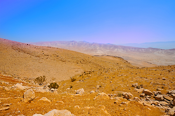 포토 JPG 해외이미지 나무 식물 도로 모래 여행 자연 하늘 산 건조 그림자 풍경 사람없음 여름 파란색 일출 골짜기 일몰 사막 바위 시골 황무지 그늘 땅 언덕 부식 올리브 산등성이 먼지 지역 낭비 땅바닥 생태학 이스라엘 팔레스타인 해외포토 계절 교육 열매 길 컬러 컨셉 중동 교통시설 바닥 노을 돌_바위 생태계 서아시아 파일형식 이미지허브