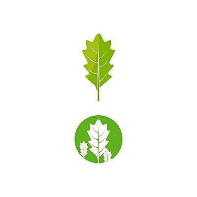 EPS 해외이미지 모양 나무 식물 디자인 배너 계절 실루엣 선 백그라운드 컨셉 단풍 잎 캐나다 꽃무늬 패턴 오렌지 일러스트 자연 추상 미술 그래픽 장식 빨간색 노란색 일본 미국 흰색 깃발 9월 심볼 오브젝트 사인 10월 내추럴 고립 엘리먼트 전국 해외일러스트 꽃 아시아 컬러 북아메리카 무늬 과일 문화예술 촬영기법 날짜 생태계 파일형식 벡터 이미지허브