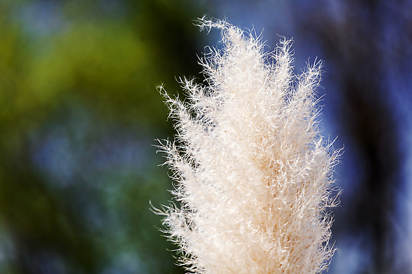 포토 JPG 해외이미지 식물 디자인 계절 공원 꽃잎 꽃 분홍색 꽃다발 백그라운드 잎 꽃무늬 패턴 자연 사랑 사람없음 장식 빨간색 초록색 컬러풀 뷰티 장미 노란색 정원 보라색 봄 벚꽃 흰색 신선 개화 다발 배열 심볼 원예 조경 쇼 내추럴 정중 해외포토 공공시설 감정 컬러 컨셉 무늬 취미 생태계 파일형식 이미지허브