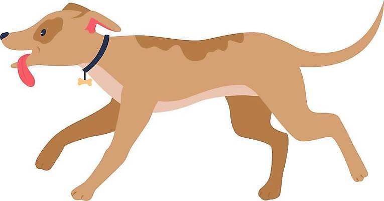 EPS 해외이미지 일러스트 사람없음 귀여움 강아지 개캐릭터 해외일러스트 동물캐릭터 컨셉 반려동물 개 파일형식 벡터 이미지허브