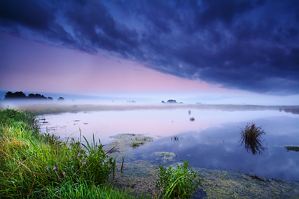 포토 JPG 해외이미지 식물 구름 계절 꽃 호수 분홍색 자연 하늘 표면 아침 풍경 사람없음 야외 초록색 물 여름 파란색 반사 일출 보라색 침묵 고요 들꽃 안개 시골 제비꽃 속도 네덜란드 수평선 해외포토 주간 자연요소 유럽 컬러 날씨 노을 소리 생태계 파일형식 이미지허브