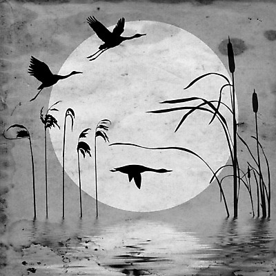 JPG 해외이미지 실루엣 여러마리 일러스트 오리 세마리 사람없음 태양 반사 회색 빈티지 질감 부들 해외일러스트 자연요소 컬러 다수 컨셉 조류 촬영기법 3 파일형식 이미지허브