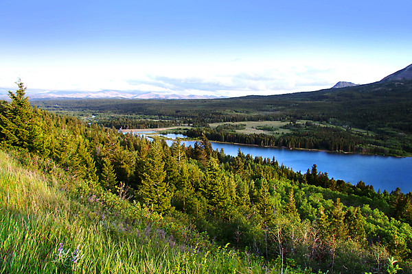 포토 JPG 해외이미지 나무 공원 호수 산 파노라마 풍경 사람없음 가로 초록색 물 파란색 강 뷰티 평화 계곡 힘 침묵 고요 연못 개울 성자 숲 부식 빙하 내추럴 울퉁불퉁 전국 절정 지질학 해외포토 자연요소 식물 공공시설 교육 종교 컬러 컨셉 촬영기법 소리 파일형식 이미지허브