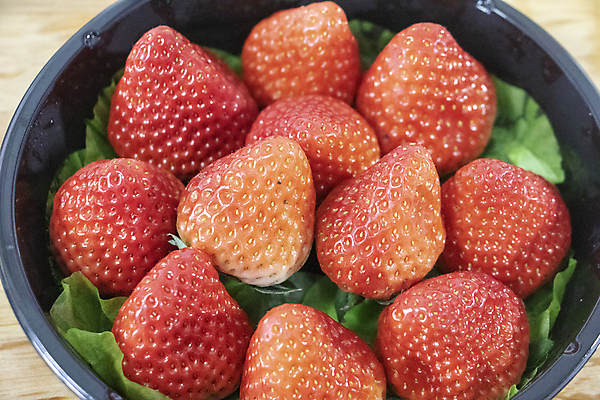 포토 JPG 해외이미지 음식 채소 과일 사람없음 망고 국산 해외포토 열대과일 파일형식 이미지허브