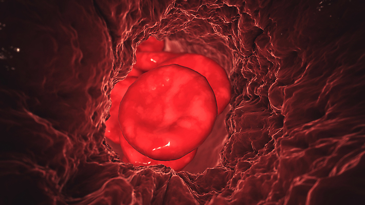 포토 JPG 해외이미지 세포 사람없음 빨간색 3D 적혈구 혈구 해외포토 컬러 디지털합성 혈관 파일형식 이미지허브