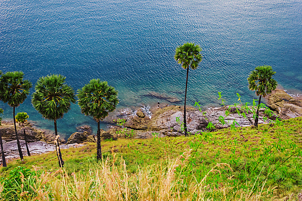 포토 JPG 해외이미지 나무 구름 아시아 모래 파도 바다 섬 여행 잎 태국 자연 하늘 휴가 휴식 산 안테나 손바닥 동양인 풍경 사람없음 야외 물 여름 파란색 빛 일몰 낭만 바위 전원 만 보트 망토 안다만 이국적 터키석 파라다이스 푸켓 해외포토 자연요소 식물 손 계절 나라 컬러 컨셉 배_교통 통신 인종 노을 돌_바위 전기에너지 보석 생태계 파일형식 이미지허브