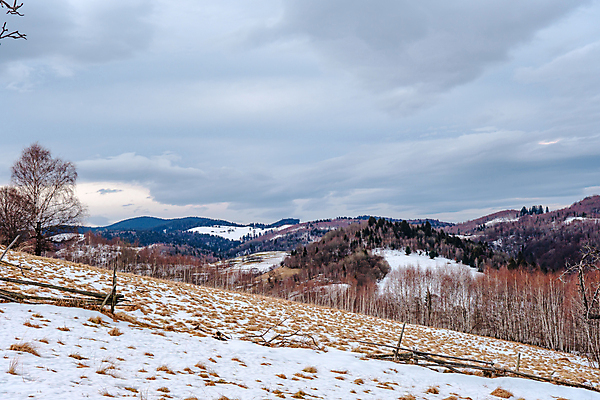 포토 JPG 해외이미지 나무 전통 계절 유럽 여행 오렌지 자연 하늘 아침 산 주택 파노라마 풍경 초원 사람없음 야외 초록색 여름 파란색 빛 마을 계곡 시골 신선 숲 고도 언덕 만족 산등성이 방문 루마니아 내추럴 산악지대 옛날 트란실바니아 해외포토 주간 식물 감정 나라 컬러 과일 촬영기법 건물 생태계 파일형식 이미지허브