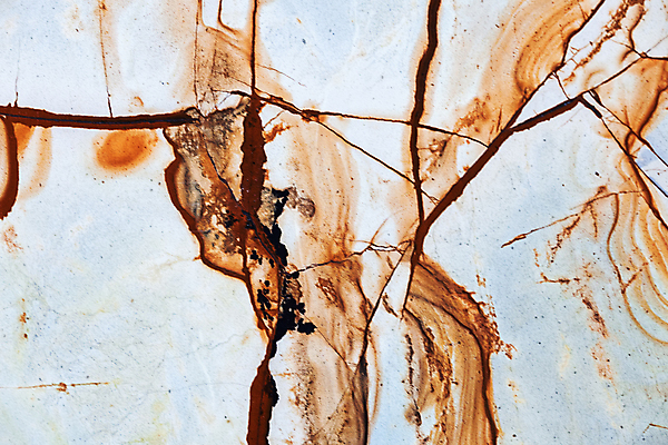 포토 JPG 해외이미지 디자인 벽 백그라운드 패턴 건축양식 자연 벽지 표면 추상 바닥 사람없음 내부 건물 장식 갈색 흰색 재산 타일 질감 상업 대리석 모자이크 내추럴 진짜 화강암 해외포토 건축물 건축 컬러 무늬 재료 금융 암석 생태계 파일형식 이미지허브