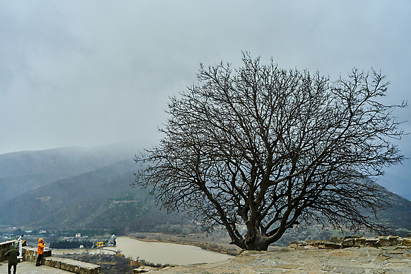 포토 JPG 해외이미지 나무 식물 구름 계절 공원 도로 여행 백그라운드 자연 하늘 아침 날씨 산 파노라마 풍경 초원 사람없음 초록색 여름 파란색 계곡 어둠 안개 가을 시골 정상 저녁 숲 열대우림 언덕 장면 폭풍 공상 내추럴 산악지대 뿌연 전국 절정 해외포토 주간 자연요소 공공시설 길 컬러 교통시설 촬영기법 야간 생태계 파일형식 이미지허브