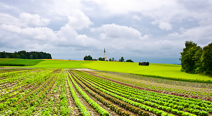 포토 JPG 해외이미지 나무 식물 구름 유럽 기독교 종교 문화 지구 십자가 밭 농업 건축양식 창문 자연 하늘 독일 풍경 잔디 초원 사람없음 초록색 농장 농경지 교회 봄 수확 성장 시골 사찰 영혼 숲 땅 언덕 먼지 첨탑 종탑 밭일 숭배 신앙심 바이에른 목가 세련 해외포토 자연요소 계절 건축 나라 산업 컬러 종교건축 건물 탑 생태계 파일형식 이미지허브