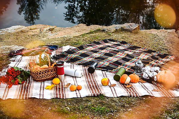 포토 JPG 해외이미지 낙엽 호박 사람없음 소풍 오브젝트 돗자리 피크닉용품 소풍바구니 텀블러 해외포토 잎 채소 컵 야외활동 바구니 파일형식 이미지허브