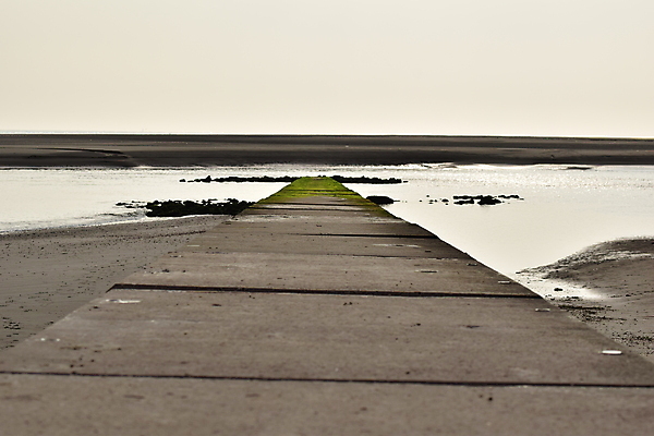 포토 JPG 해외이미지 모래 바다 여행 백그라운드 자연 하늘 휴식 사람없음 야외 초록색 물 모래사장 항구 검은색 고요 회색 해조류 소프트포커스 모래언덕 수평선 해외포토 자연요소 컬러 컨셉 교통시설 촬영기법 해양식물 언덕 생태계 파일형식 이미지허브