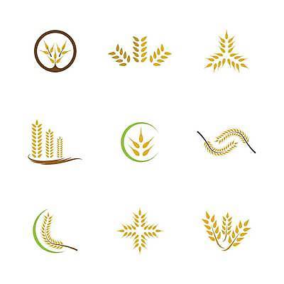 EPS 해외이미지 식물 디자인 배너 음식 빵 백그라운드 농업 다이어트 일러스트 자연 밥 건조 건강 옥수수 씨앗 농작물 농장 노란색 라벨 수확 성장 신선 시장 황금 상품 낟알 시리얼 밀 먹기 심볼 사인 유기농 보리 밀가루 스파이크 내추럴 고립 밭일 엘리먼트 귀리 해외일러스트 웰빙 산업 컬러 모션 곡류 프레임 가루 생태계 파일형식 벡터 이미지허브