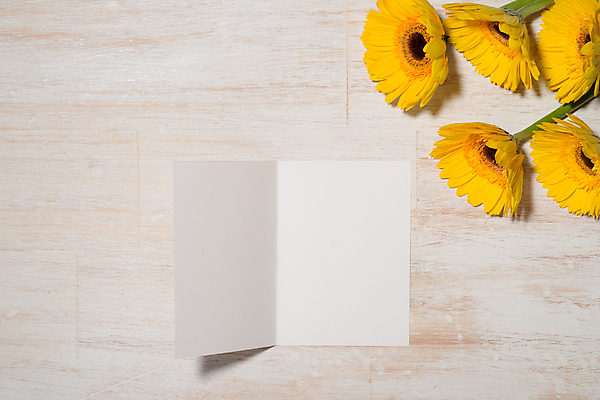 포토 JPG 해외이미지 해바라기 실내 사람없음 하이앵글 오브젝트 목업 나무배경 해외포토 꽃 뷰포인트 백그라운드 내부 파일형식 이미지허브