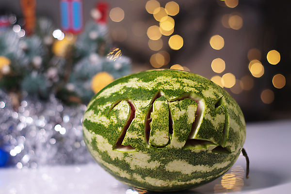 포토 JPG 해외이미지 나무 계절 음식 백그라운드 크리스마스 겨울 과일 자연 눈사람 탁자 휴가 새해 수박 건강 요리 사람없음 장식 초록색 여름 크리스마스트리 축제 식사 흰색 신선 달콤 멜론 12월 상쾌 비타민 카피스페이스 클라우스 맛있는 해외포토 식물 기념일 감정 컬러 가구 공백 날짜 맛 생태계 영양소 파일형식 이미지허브