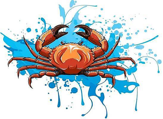 EPS 해외이미지 동물 캐릭터 1 야생동물 음식 바다 일러스트 자연 조개 육류 갑각류 어류 요리 미소 빨간색 케이크 식사 저녁식사 게 껍질 굴 신선 만화 심볼 해산물 오브젝트 준비 싱글 머리위 문어 몸통 펜치 기어가기 고립 삶기 집게발 캐리커처 해외일러스트 일러캐릭터 컬러 식재료 모션 어패류 디저트 연체동물 표정 신체부위 수중동물 공구 그림 생태계 파일형식 벡터 이미지허브