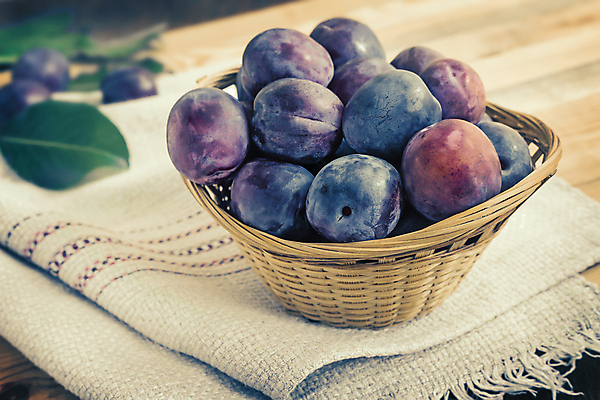 포토 JPG 해외이미지 음식 백그라운드 잎 농업 다이어트 과일 재료 디저트 주택 실내 건강 요리 사람없음 바구니 수확 가을 신선 체리 아침식사 보호 큼 잼 비타민 자두 건강식 내추럴 엮은 채식주의자 많음 맛있는 해외포토 식물 계절 산업 컨셉 내부 건물 식사 소스_음식 크기 채식 영양소 파일형식 이미지허브