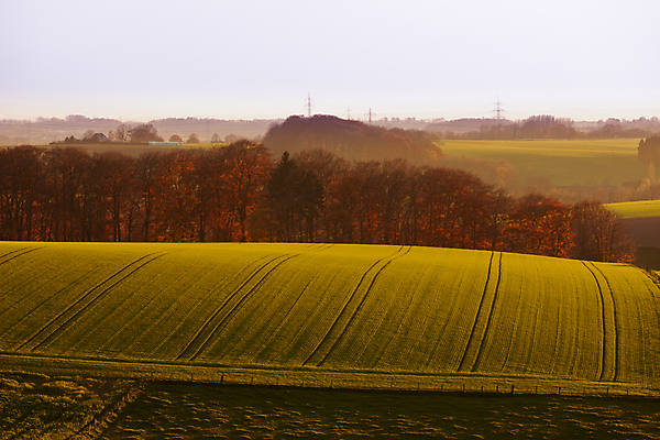 포토 JPG 해외이미지 나무 식물 유럽 밭 농업 자연 독일 풍경 초원 사람없음 야외 초록색 농작물 농경지 평화 환경 맑음 고요 새벽 폭포 시골 밀 만취 언덕 질감 장면 내추럴 밭일 그리너리 해외포토 자연요소 나라 산업 컬러 컨셉 날씨 곡류 농장 생태계 술취함 파일형식 트랜드컬러 이미지허브