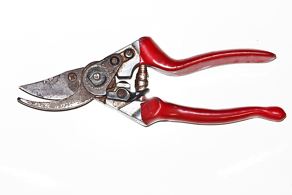 포토 JPG 해외이미지 손 디자인 계절 꽃 산업 백그라운드 장신구 취미 사람없음 야외 빨간색 울타리 금속 정원 봄 장비 흰색 공구 업무 오픈 칼날 자르기 오브젝트 원예 클립 날카로움 손질 고립 다듬기 원예사 커터 항목 해외포토 식물 직업 컬러 모션 재질 신체부위 담장 도구 작업 파일형식 이미지허브