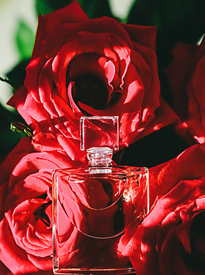 포토 JPG 해외이미지 꽃 자연 선물 근접촬영 사람없음 야외 빨간색 장미 고급 향수병 해외포토 식물 뷰포인트 컬러 컨셉 향수 생태계 병_담는 파일형식 이미지허브