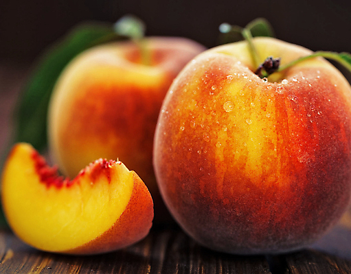 포토 JPG 해외이미지 음식 여행 자연 풍경 사람없음 뷰티 해외포토 생태계 파일형식 이미지허브