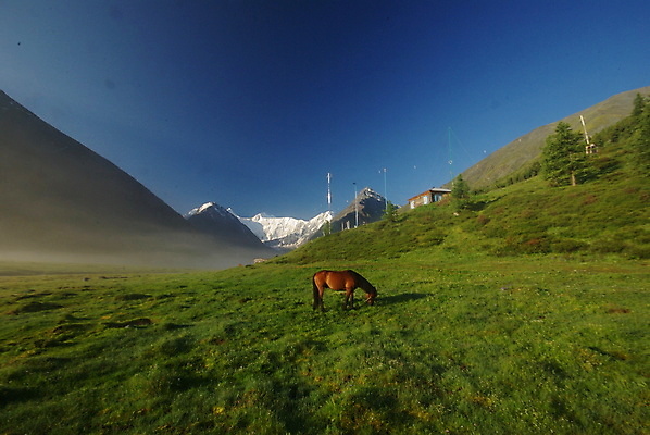포토 JPG 해외이미지 동물 실루엣 얼굴 백그라운드 신발 밭 산 풍경 초원 사람없음 옆모습 초록색 울타리 뷰티 농장 농경지 갈색 머리 걷기 가을 시골 군중 먹이 방목 그림 윤곽 마차 망아지 기르기 무료 찰과상 해외포토 계절 새끼 교통수단 뷰포인트 컬러 농업 모션 촬영기법 사람 신체부위 담장 말_동물 축산업 상처 돌봄 파일형식 이미지허브