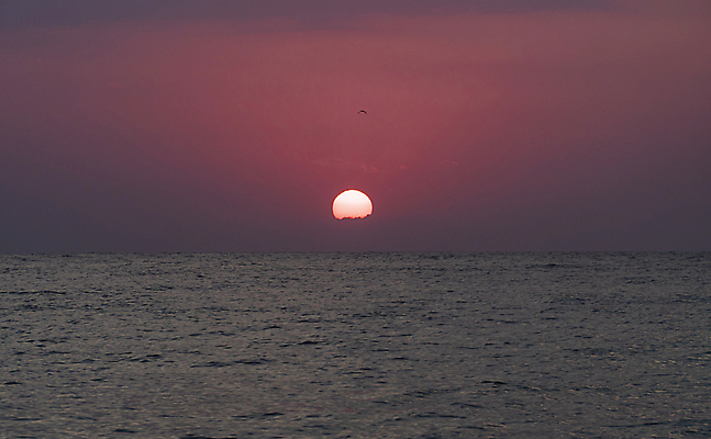 포토 JPG 해외이미지 파도 바다 자연 하늘 아침 사람없음 야외 햇빛 태양 일출 해외포토 주간 자연요소 노을 생태계 파일형식 이미지허브