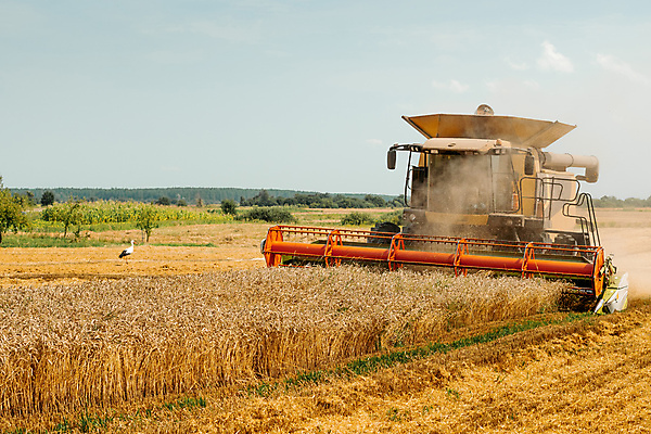 포토 JPG 해외이미지 계절 산업 밭 농업 자연 건조 옥수수 씨앗 사람없음 농작물 농경지 노란색 기계 모임 수확 시골 못 황금 농부 결합 낟알 땅 자르기 시리얼 밀 수집 유기농 보리 먼지 짐차 밀짚 밭일 숙성 호밀 해외포토 식물 직업 웰빙 음식 컬러 모션 자동차 곡류 농장 공구 짚 생태계 파일형식 이미지허브