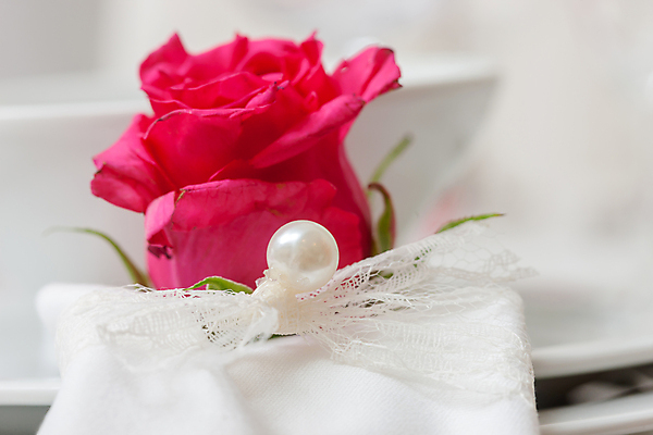 포토 JPG 해외이미지 접시 디자인 꽃 가구 탁자 실내 사람없음 내부 장식 희망 고급 닫기 오브젝트 접수 스타일 해외포토 식물 식기 감정 생활용품 컨셉 모션 파일형식 이미지허브