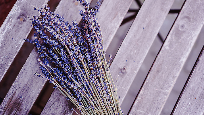 포토 JPG 해외이미지 식물 디자인 꽃 줄기 꽃다발 백그라운드 잎 꽃무늬 재료 자연 탁자 날씨 추상 건조 사람없음 목재 파란색 뷰티 약 우주 보라색 검은색 공백 벚꽃 흰색 시골 정상 다발 지중해 허브 질감 향기 아로마 향 아로마테라피 라벤더 고립 옛날 목업 해외포토 나무 바다 컬러 가구 무늬 의학 생태계 냄새 테라피 파일형식 이미지허브