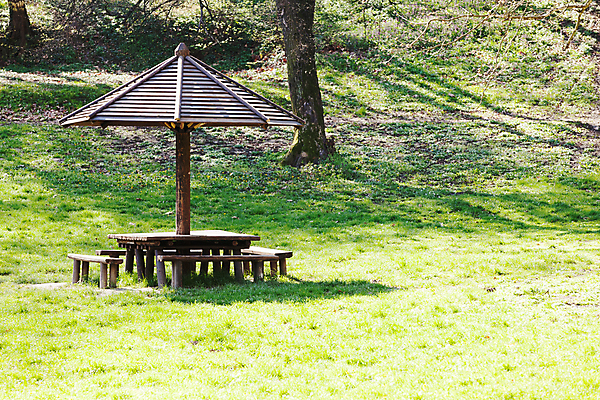 포토 JPG 해외이미지 나무 공원 벤치 의자 자연 탁자 휴식 사람 사람없음 야외 초록색 빛 뷰티 소풍 평화 침묵 캠핑 시골 숲 그늘 지역 공터 내추럴 고립 삼림지대 해외포토 식물 공공시설 컬러 가구 컨셉 레저 야외활동 소리 생태계 파일형식 이미지허브