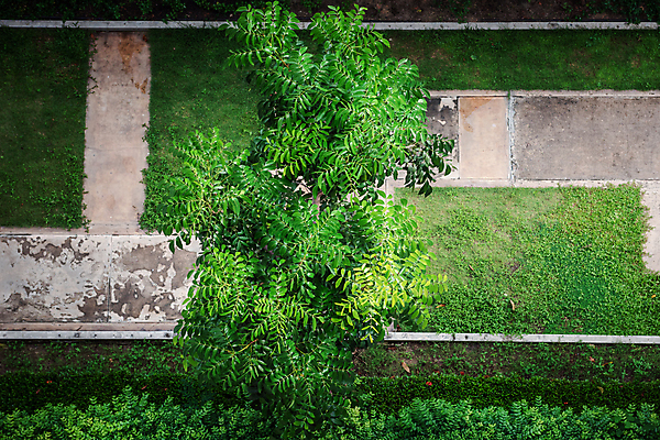 포토 JPG 해외이미지 나무 식물 계절 공원 꽃 줄기 백그라운드 잎 패턴 건축양식 자연 잔디 사람없음 야외 건물 목재 장식 초록색 빛 햇빛 환경 정원 봄 성장 나뭇가지 신선 숲 큼 에코 질감 각도 내추럴 땅바닥 생태학 그리너리 해외포토 건축물 공공시설 교육 건축 컬러 무늬 재료 바닥 태양 크기 생태계 파일형식 트랜드컬러 이미지허브