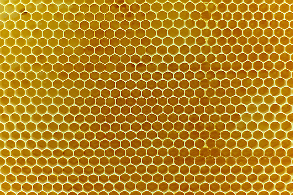 포토 JPG 해외이미지 모양 백그라운드 패턴 오렌지 자연 추상 프레임 세포 사람없음 노란색 머리빗 황금 벌 유기농 질감 육각형 꿀 벌집 내추럴 대칭 밀랍 양봉 양봉장 왁스 진짜 해외포토 도형 웰빙 컬러 곤충 무늬 과일 미용용품 생태계 파일형식 이미지허브