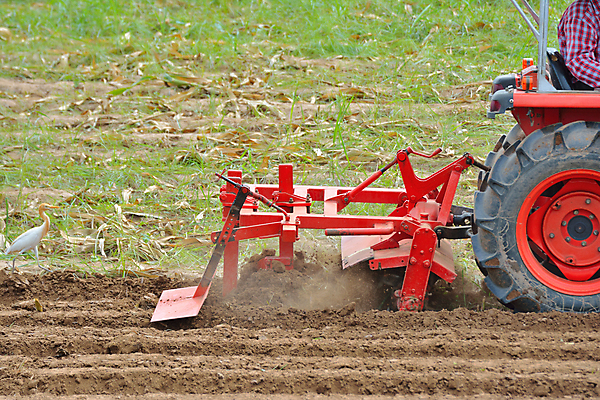 포토 JPG 해외이미지 산업 아시아 백그라운드 패턴 밭 농업 비즈니스 태국 자연 사람 사람없음 빨간색 농작물 농장 농경지 갈색 기계 흙 장비 시골 업무 농부 작음 땅 만취 질감 눈금 먼지 장면 지역 트랙터 유지 내추럴 밭일 원예사 쟁기 해외포토 직업 나라 컬러 무늬 작업 크기 농기계 생태계 특수차량 술취함 파일형식 이미지허브