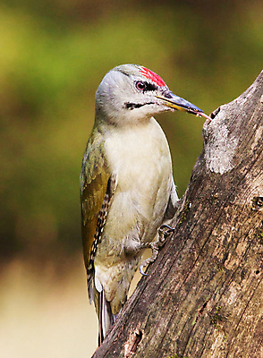 포토 JPG 해외이미지 여행 사람없음 여행객 크로아티아 해외포토 유럽 사람 파일형식 이미지허브