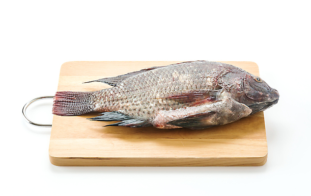 포토 JPG 해외이미지 동물 음식 백그라운드 재료 자연 어류 사람없음 야외 빨간색 물 검은색 흰색 신선 그룹 고립 단백질 민물 해외포토 자연요소 컬러 수중동물 생태계 영양소 파일형식 이미지허브