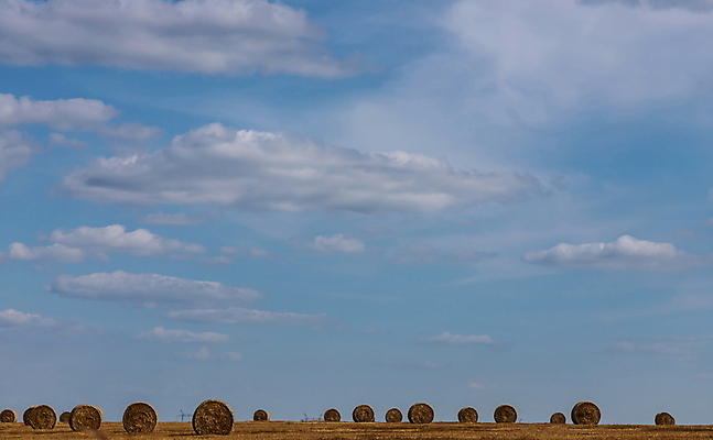 포토 JPG 해외이미지 식물 계절 산업 음식 밭 농업 자연 하늘 건조 사람없음 야외 초록색 파란색 농작물 농장 농경지 노란색 환경 맑음 수확 성장 시골 황금 건초더미 볏짚 낟알 땅 자르기 밀 유기농 보리 뭉치 밀짚 내추럴 밭일 호밀 해외포토 웰빙 컬러 모션 날씨 곡류 건초 짚 생태계 파일형식 더미 이미지허브
