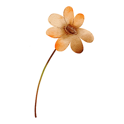 JPG 해외이미지 꽃 한송이 일러스트 사람없음 갈색 그림 손그림 해외일러스트 식물 1 컬러 송이 파일형식 이미지허브