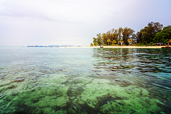 포토 JPG 해외이미지 나무 바다 섬 여행 태국 자연 하늘 표면 아침 국립공원 사람 풍경 사람없음 초록색 물 여름 빛 컬러풀 햇빛 뷰티 반사 여행객 산호 장면 수평선 해외포토 주간 자연요소 식물 계절 공원 아시아 컬러 태양 자포동물 생태계 파일형식 이미지허브