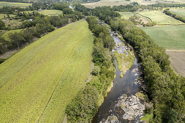 포토 JPG 해외이미지 나무 선 패턴 밭 농업 자연 지팡이 추상 안테나 풍경 사람없음 야외 초록색 물 농작물 농경지 수확 시골 개울 호주 숲 땅 설탕 은행 질감 내추럴 굴곡 대칭 드론 밭일 사탕수수 내려보기 해외포토 자연요소 식물 산업 컬러 무늬 통신 모션 금융 강 농장 오세아니아 생태계 파일형식 이미지허브