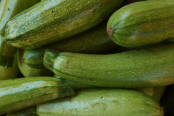 포토 JPG 해외이미지 식물 잡화 계절 음식 백그라운드 농업 다이어트 채소 재료 자연 탁자 건강 요리 사람없음 초록색 농장 노란색 정원 봄 수확 흰색 신선 시장 닫기 맛 농부 오브젝트 유기농 날것 성분 스쿼시 내추럴 고립 숙성 주키니 주키니호박 채식주의자 그리너리 비건 맛있는 해외포토 직업 웰빙 산업 스포츠 컬러 가구 컨셉 모션 구기 생태계 채식 파일형식 트랜드컬러 이미지허브