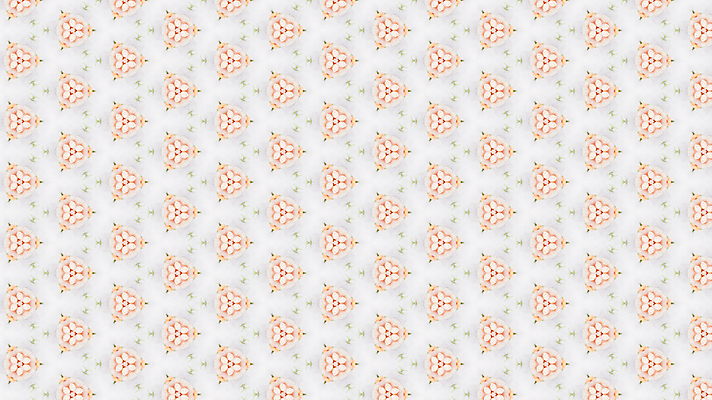 포토 JPG 해외이미지 디자인 선 백그라운드 패턴 일러스트 벽지 추상 미술 사람없음 그래픽 장식 컬러풀 흰색 공구 원형 심볼 크림 질감 심플 각도 윤곽 기하학 구성 대칭 똑같은 쉬운 엘리먼트 특별함 스타일 많음 반복 해외일러스트 도형 컬러 컨셉 무늬 문화예술 도구 파일형식 이미지허브