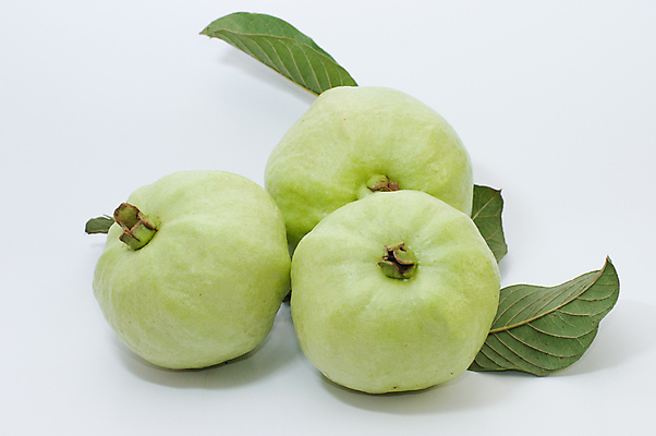 포토 JPG 해외이미지 다이어트 과일 디저트 건강 사람없음 초록색 신선 먹기 칼로리 비타민 내추럴 채식주의자 맛있는 해외포토 음식 컬러 모션 채식 영양소 파일형식 이미지허브