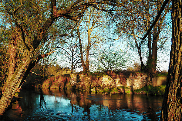 포토 JPG 해외이미지 나무 식물 구름 계절 잎 벤치 자연 하늘 아침 날씨 그림자 풍경 초원 사람없음 야외 초록색 물 여름 빛 강 햇빛 태양 뷰티 반사 노란색 환경 맑음 침묵 고요 황혼 일몰 안개 나뭇가지 시골 연못 숲 땅 천 뿌리 장면 지역 내추럴 삼림지대 현상 해외포토 주간 자연요소 컬러 의자 노을 소리 직물 생태계 파일형식 이미지허브