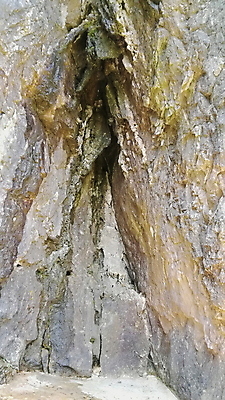 포토 JPG 해외이미지 나무 식물 공원 잎 자연 하늘 사람없음 목재 초록색 환경 나뭇가지 숲 큼 나무껍질 옛날 해외포토 공공시설 컬러 재료 껍질 크기 생태계 파일형식 이미지허브