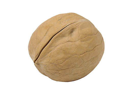 포토 JPG 해외이미지 음식 농업 다이어트 과일 재료 자연 건조 건강 씨앗 사람없음 갈색 견과류 수확 껍질 흰색 신선 유기농 알맹이 호두 단백질 바이오 밭일 맛있는 해외포토 식물 웰빙 산업 컬러 생태계 영양소 파일형식 이미지허브