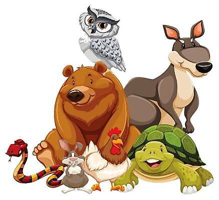 EPS 해외이미지 클립아트 동물 캐릭터 디자인 포스터 야생동물 백그라운드 일러스트 곰 포유류 자연 벽지 생물 동물원 그래픽 흰색 뱀 황무지 거북이 숲 만화 사파리 흰배경 그림 부엉이 캥거루 리빙 고립 암탉 테마 스타일 해외일러스트 일러캐릭터 컬러 파충류 조류 닭 암컷 생태계 파일형식 벡터 이미지허브